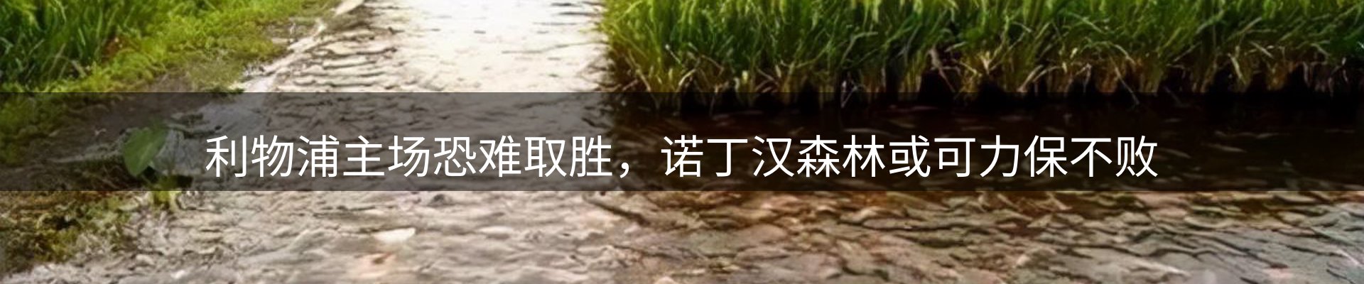 新闻展望